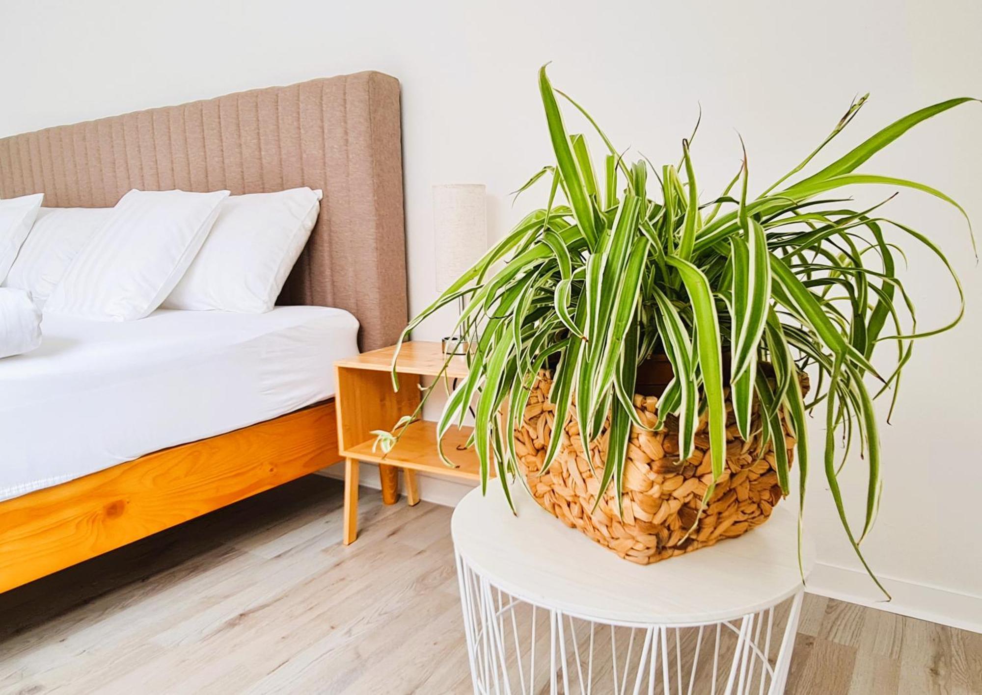 Apartment Naehe Airbus Manching Buitenkant foto